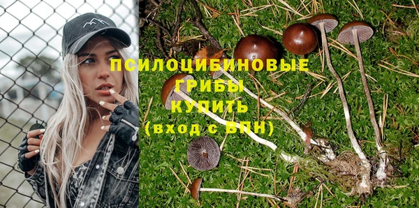 а пвп мука Богородицк
