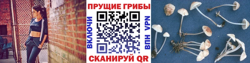 Галлюциногенные грибы ЛСД  MEGA ONION  Бугульма  цены  