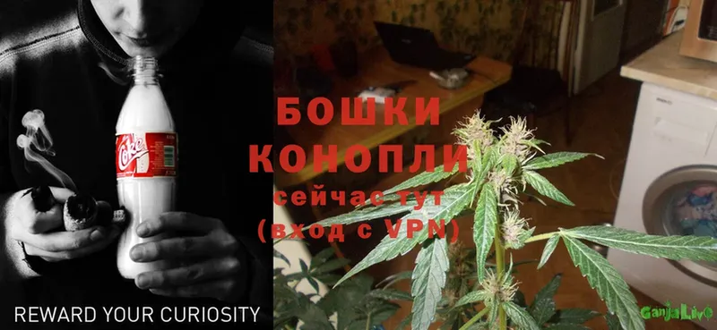 Каннабис Ganja  Бугульма 